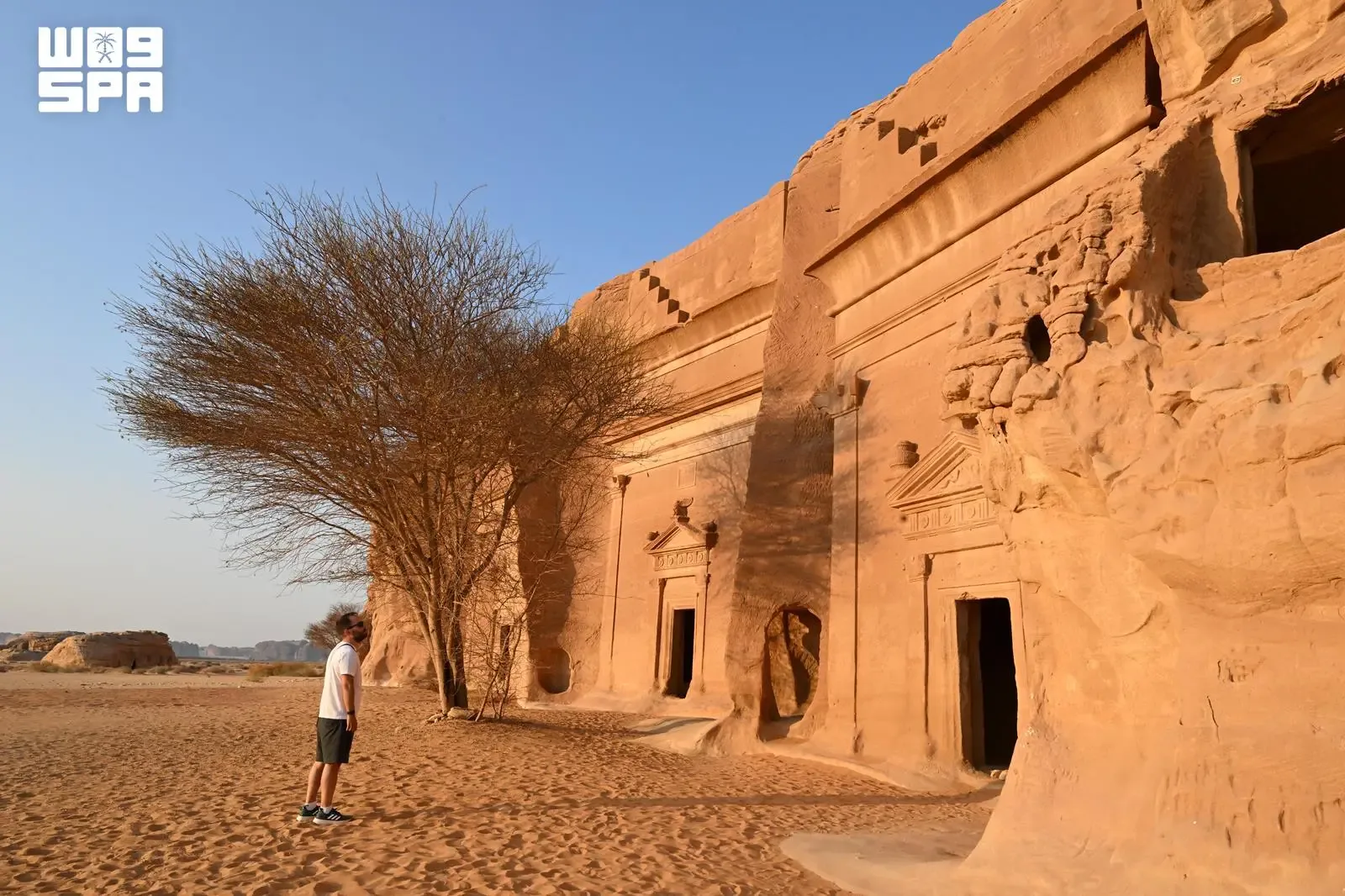 صورة من الألبوم