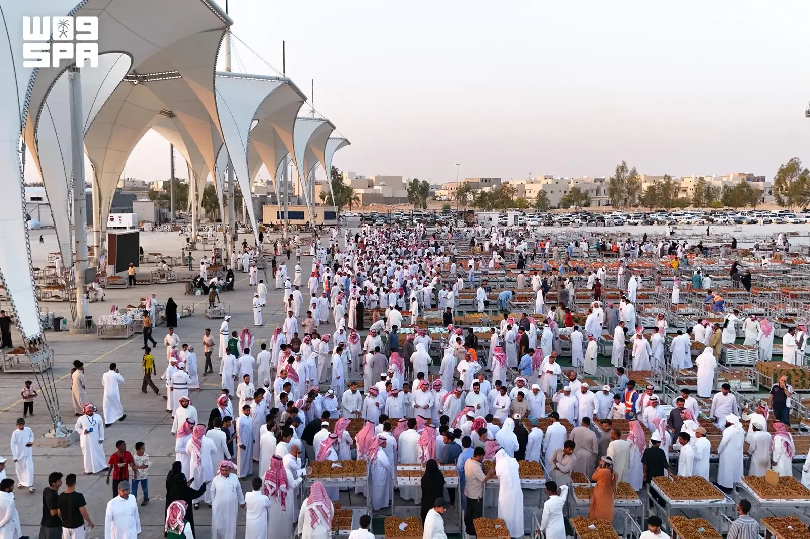 صورة من الألبوم