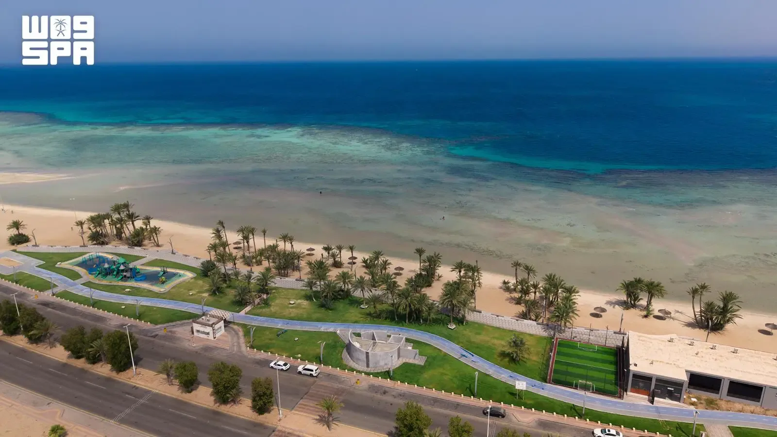 صورة من الألبوم