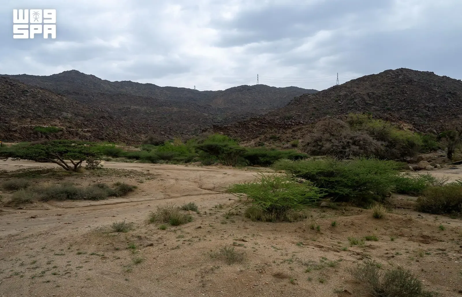 صورة من الألبوم