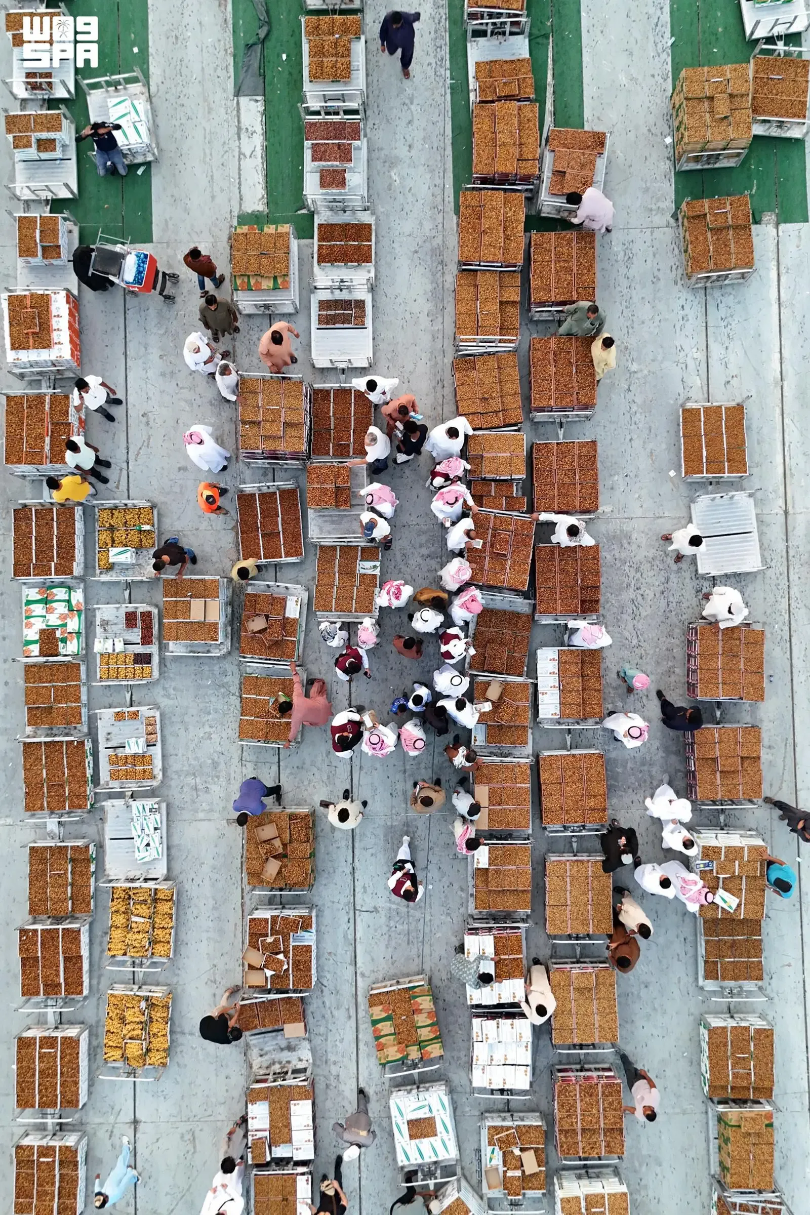 صورة من الألبوم
