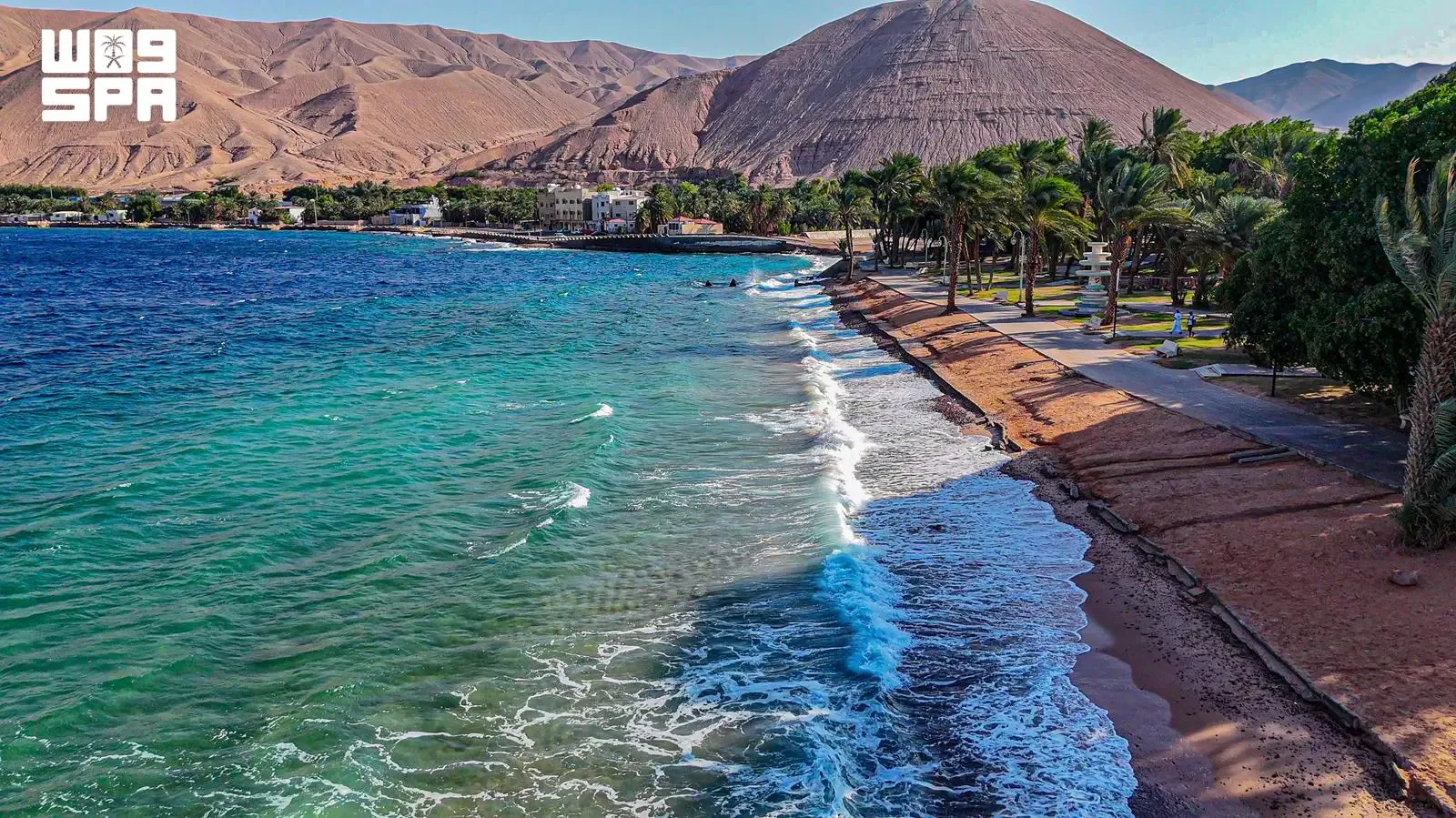 صورة من الألبوم