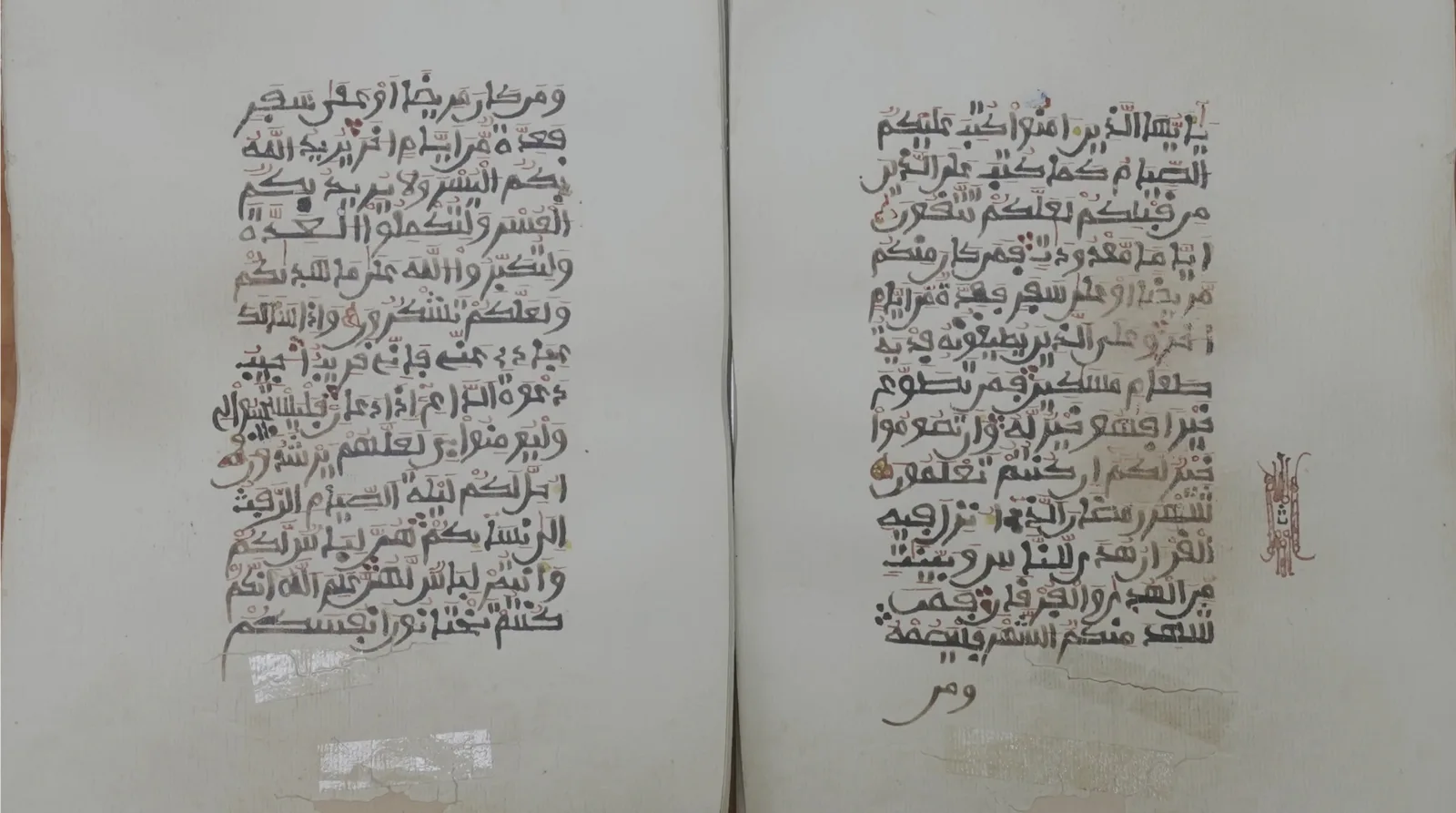 صورة من الألبوم