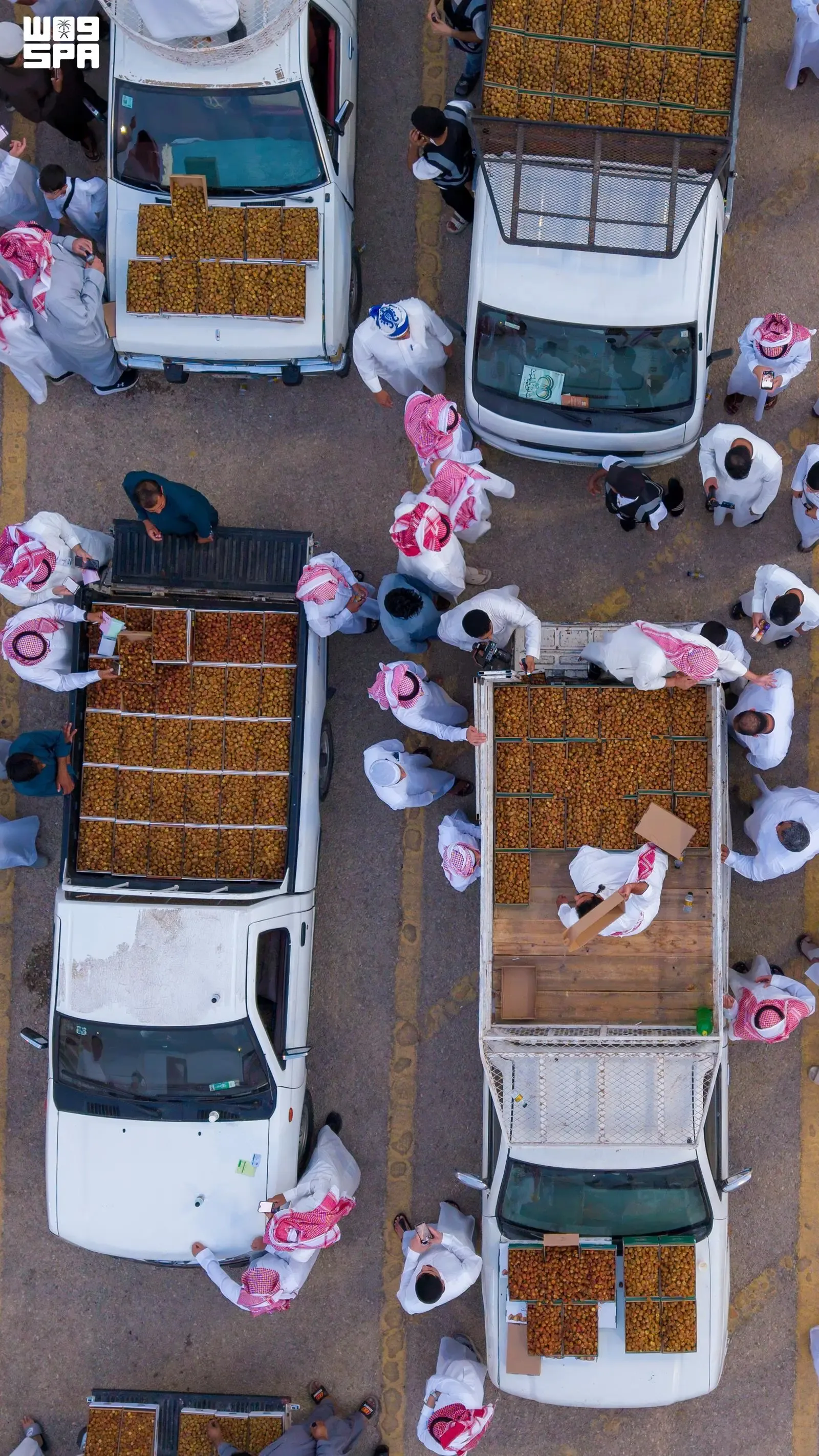 صورة من الألبوم