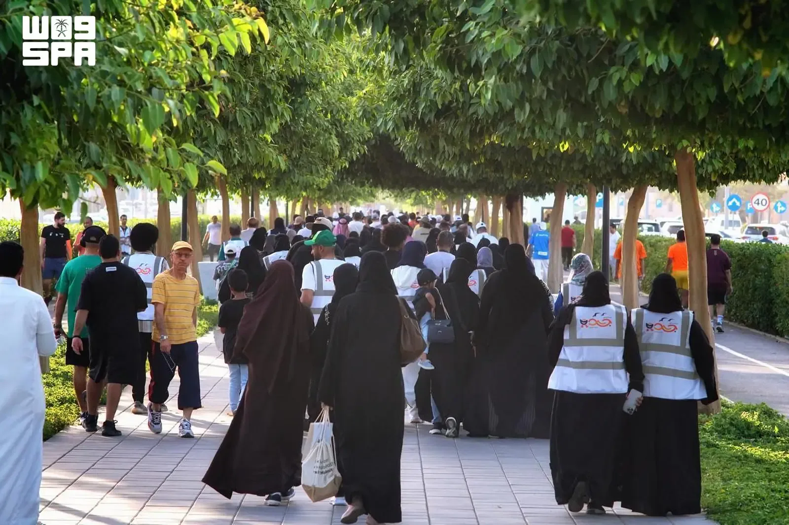 صورة من الألبوم