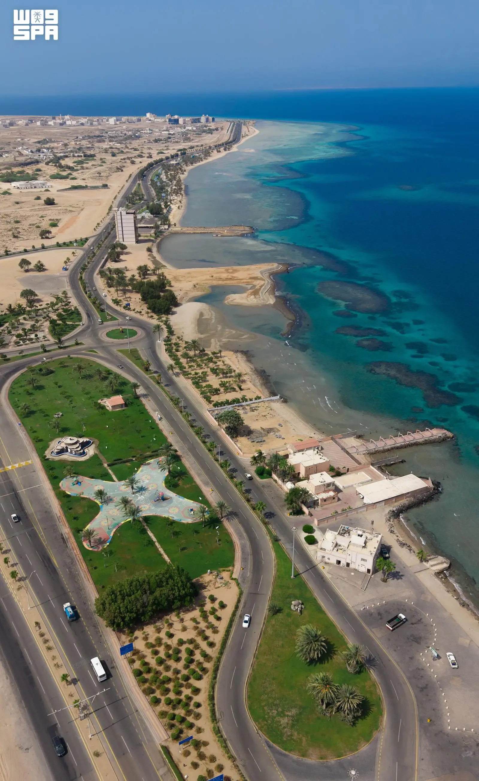 صورة من الألبوم