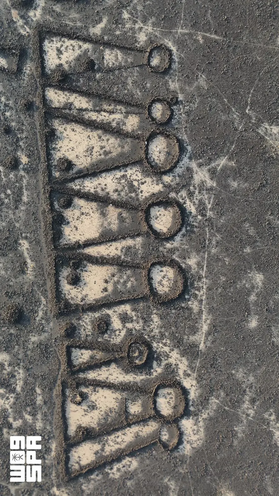صورة من الألبوم