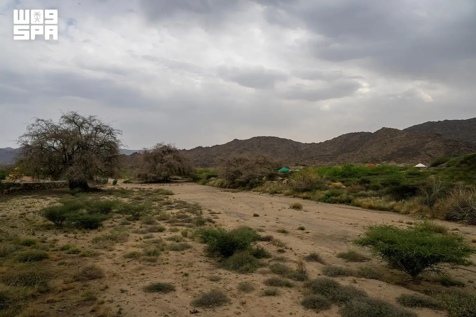 صورة من الألبوم