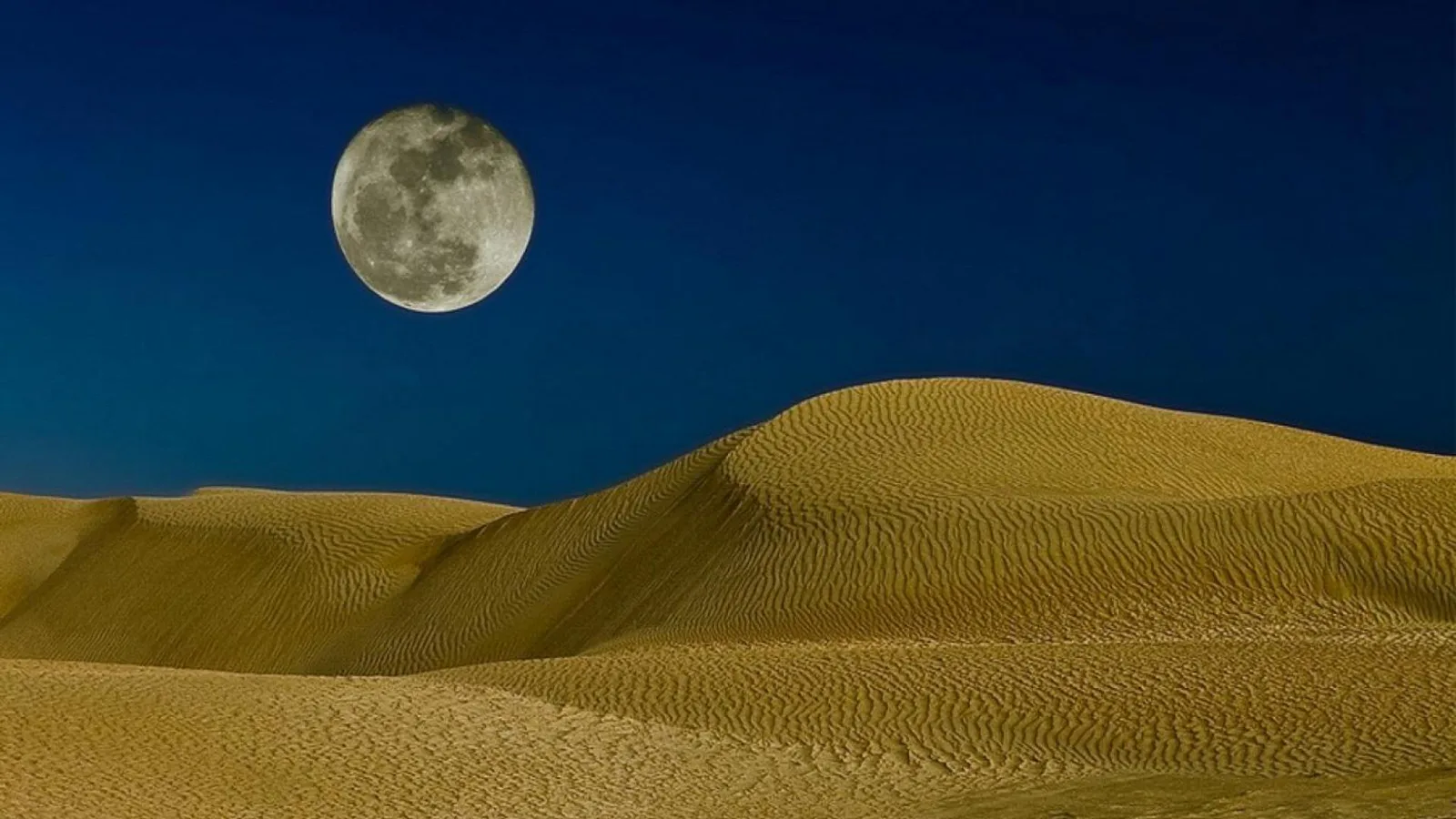 صورة الخبر
