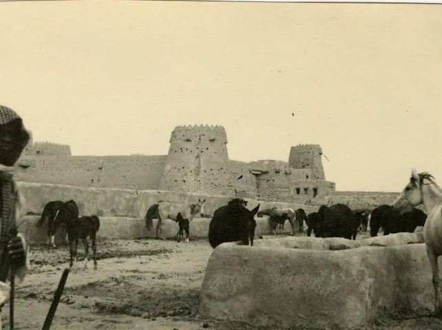 صورة من الألبوم