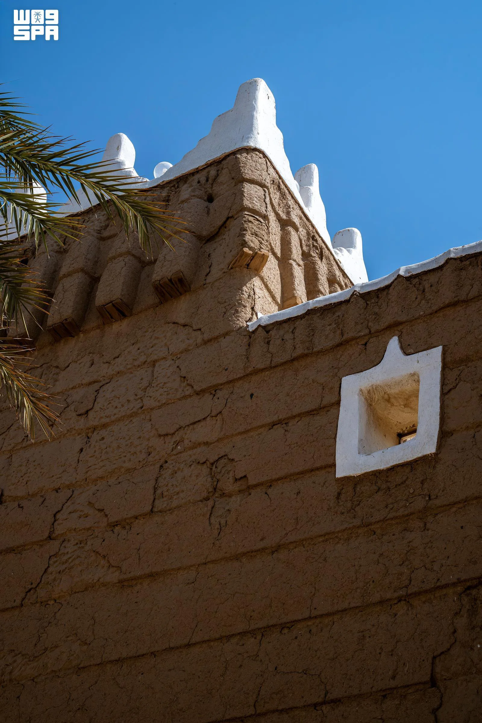 صورة من الألبوم