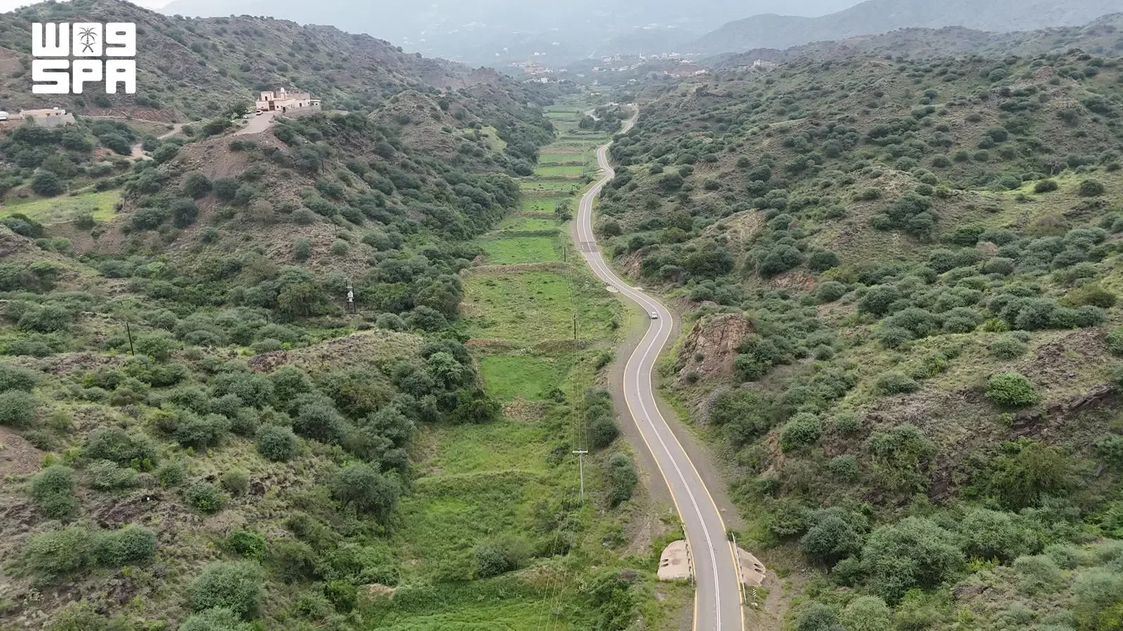 صورة من الألبوم