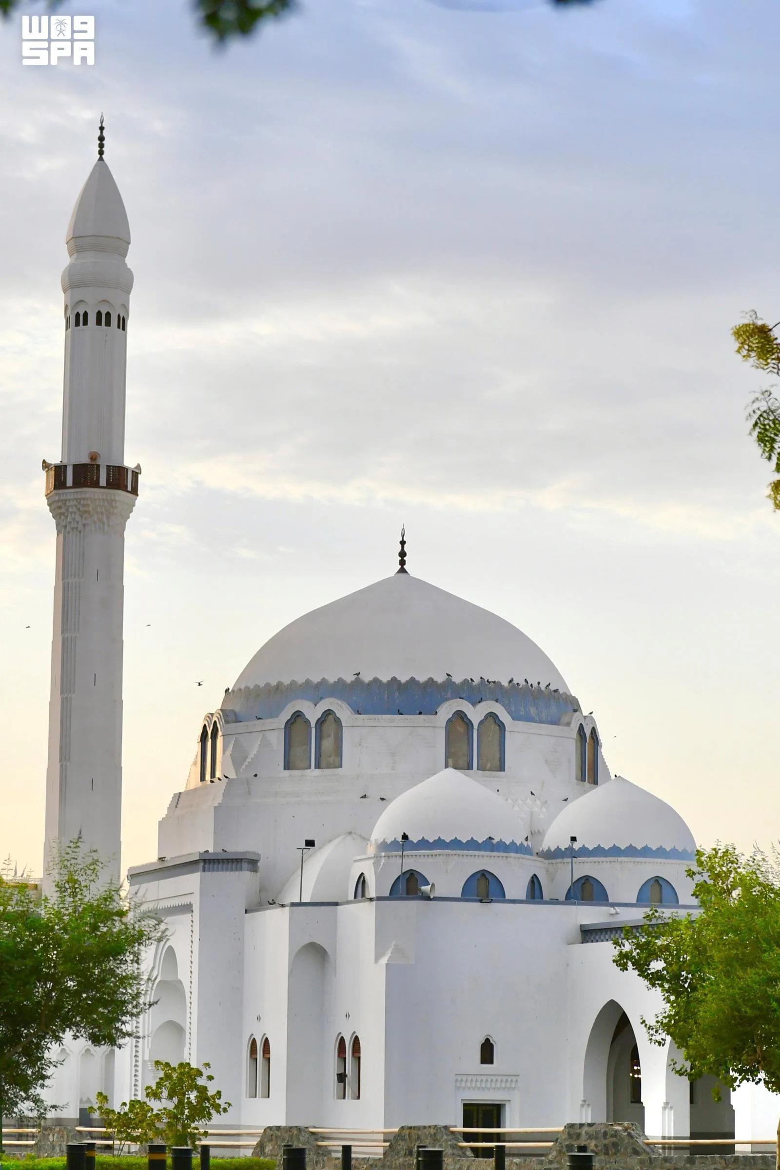 صورة الخبر