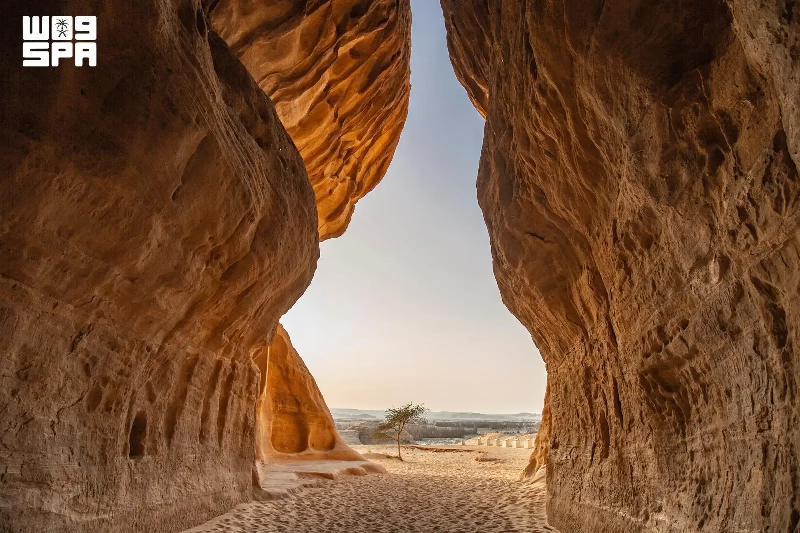 صورة من الألبوم