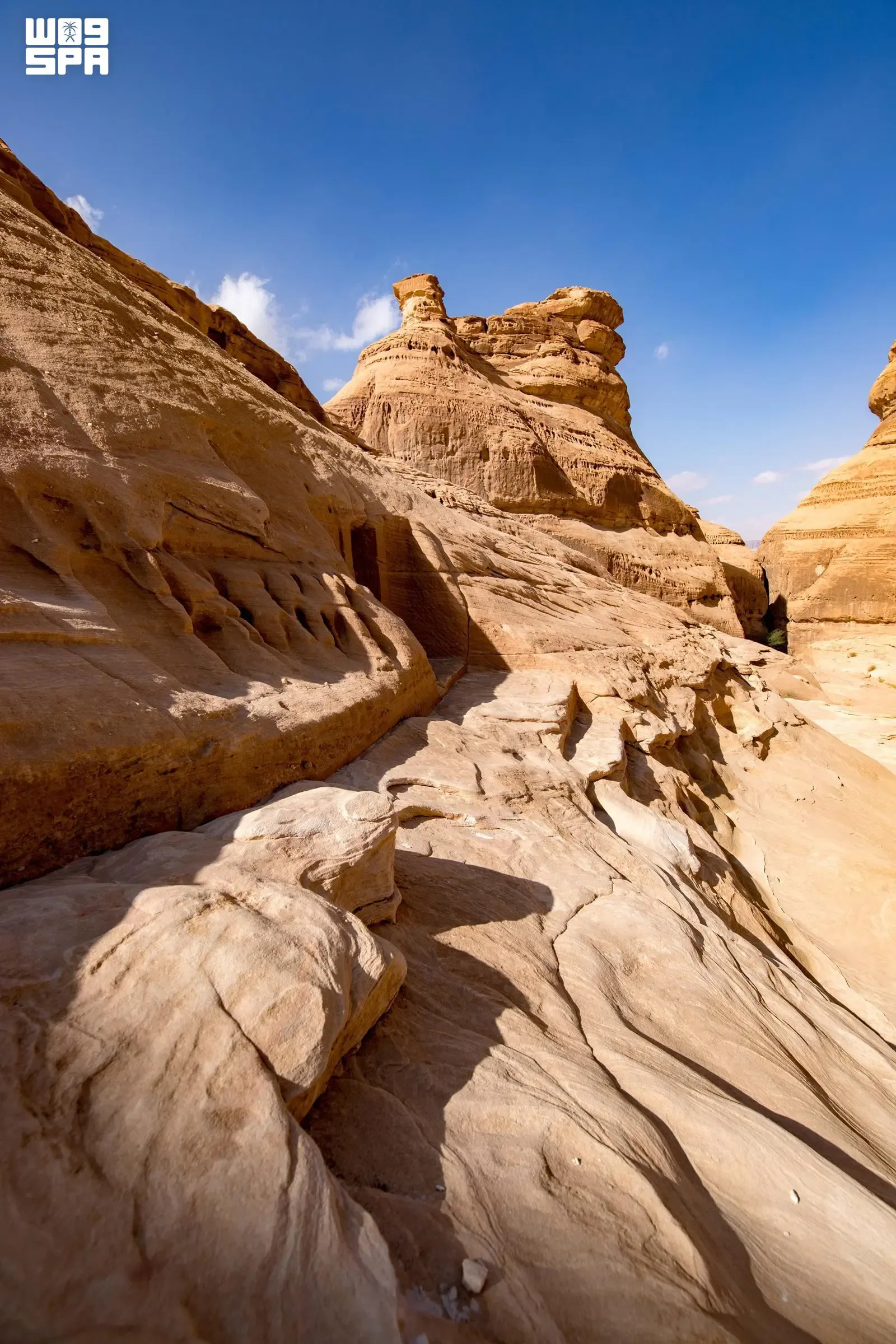صورة من الألبوم