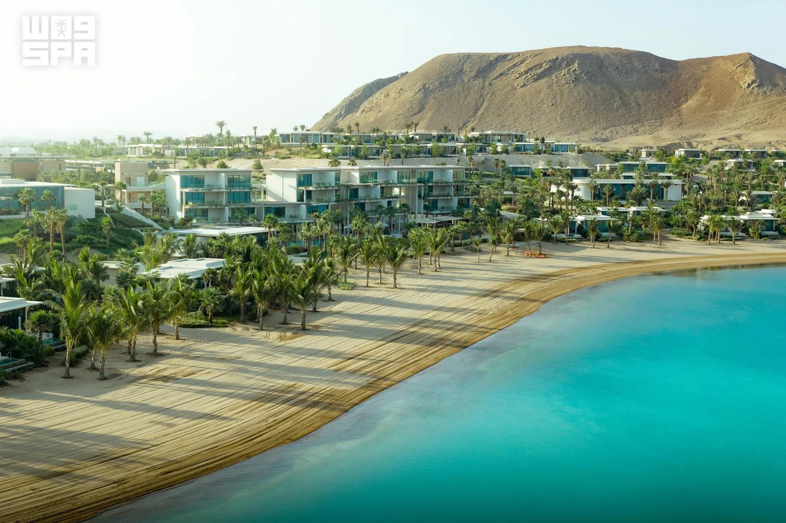 صورة من الألبوم