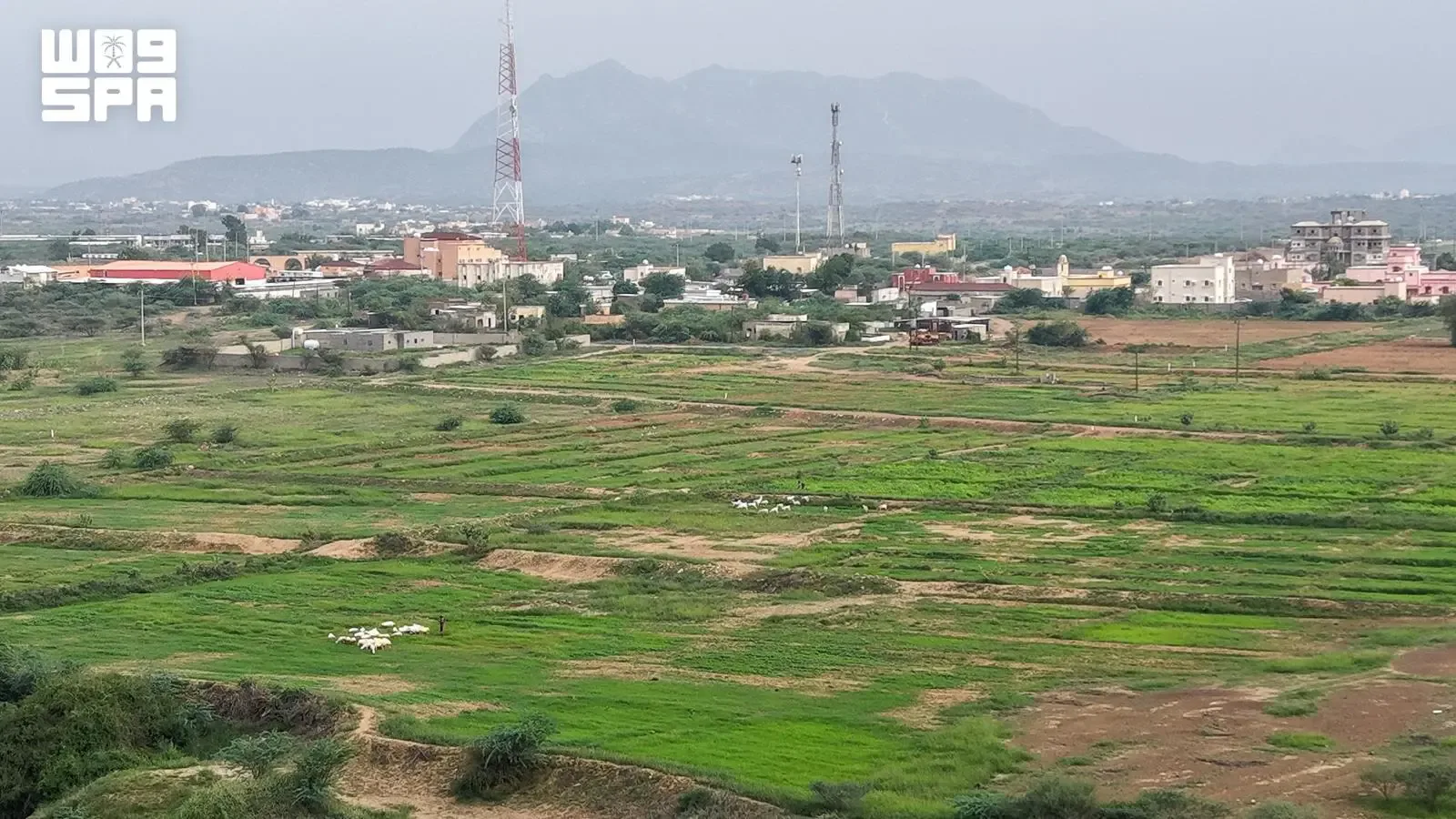 صورة من الألبوم