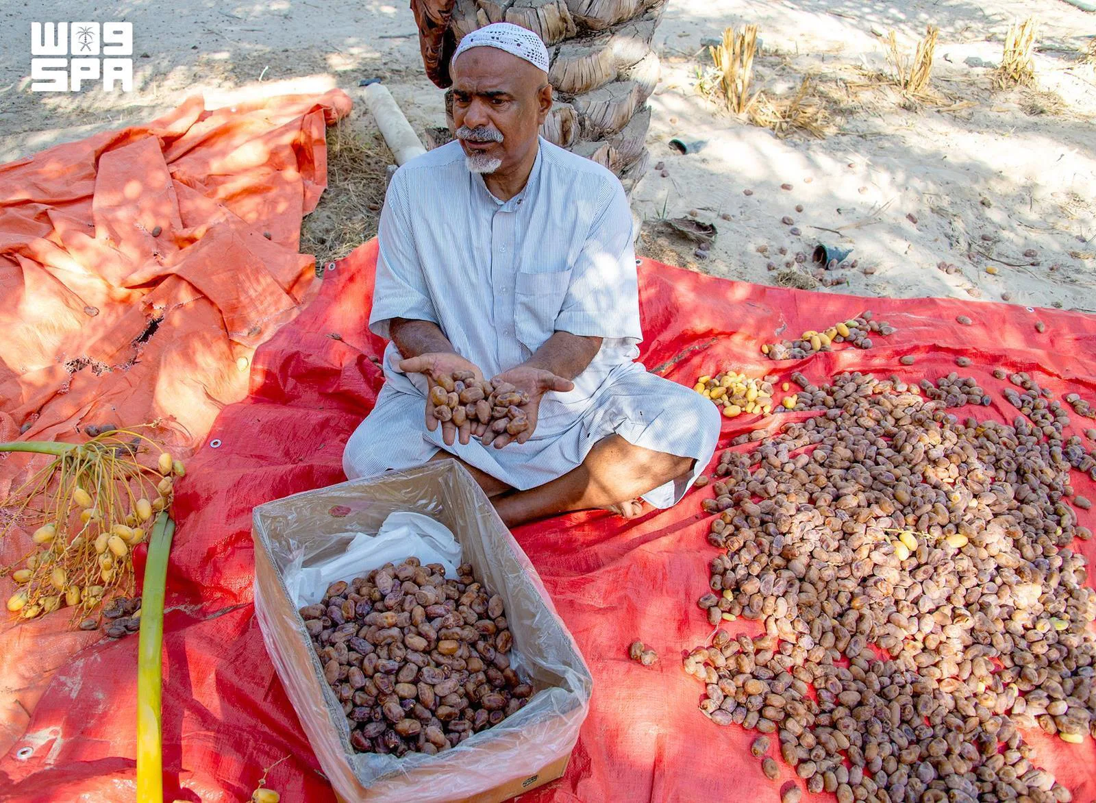 صورة من الألبوم