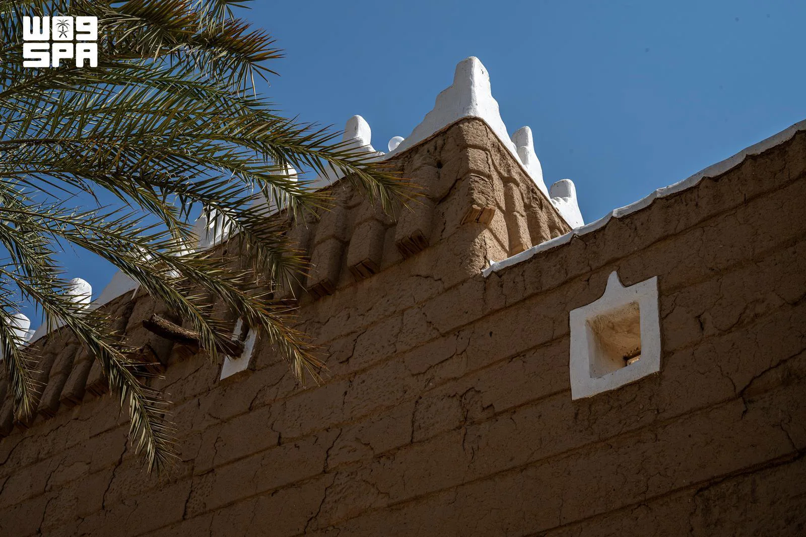 صورة من الألبوم