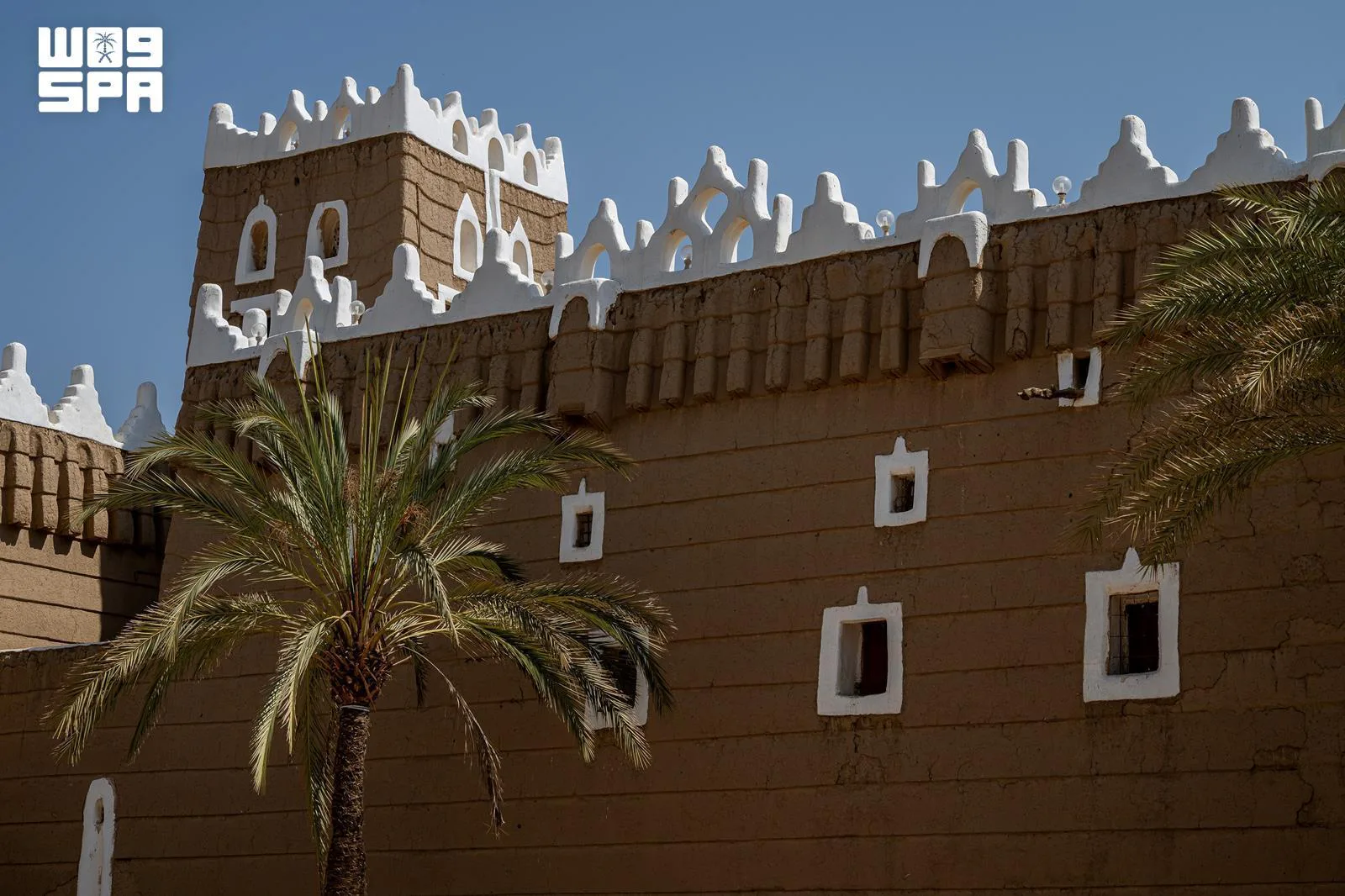 صورة من الألبوم