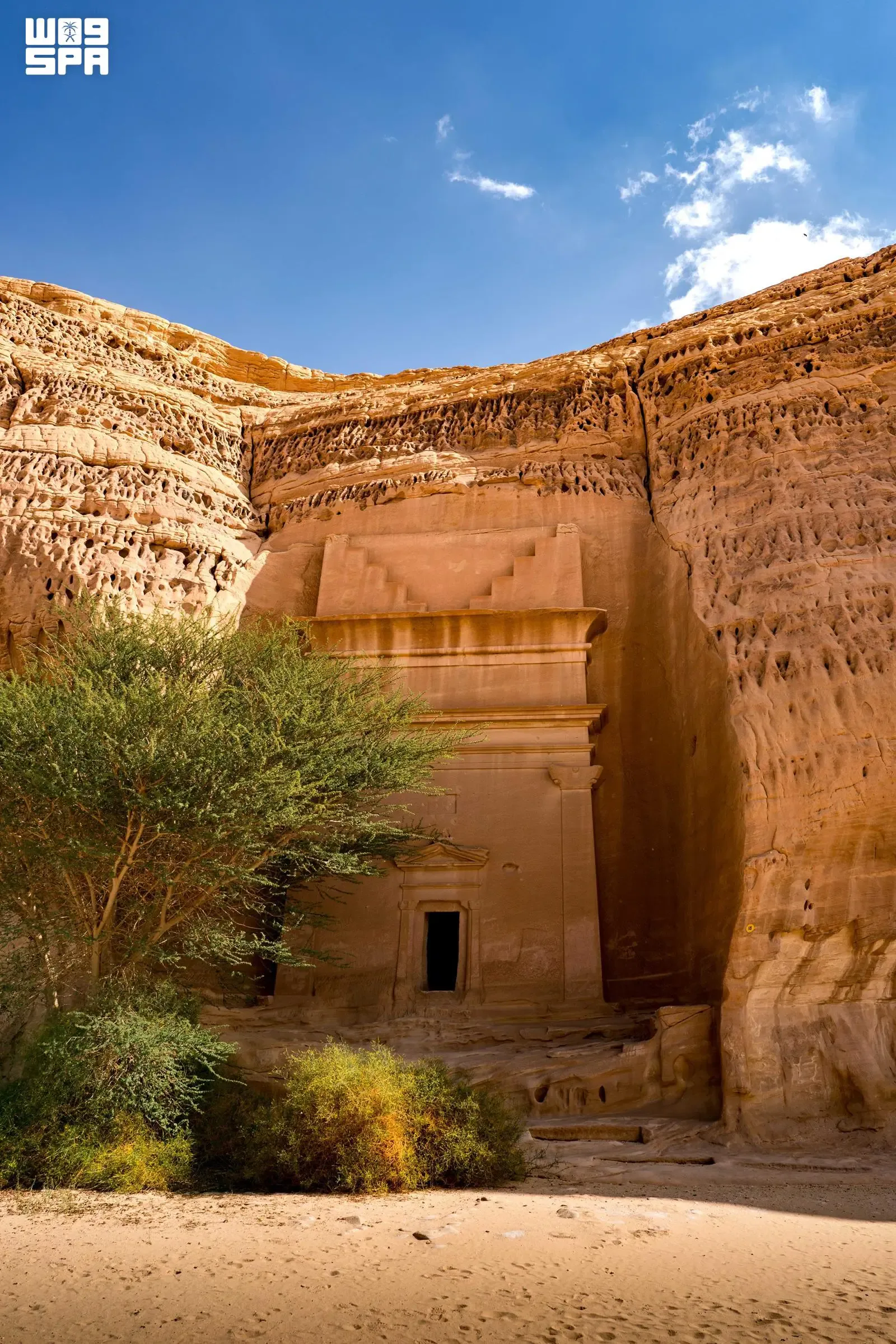 صورة من الألبوم
