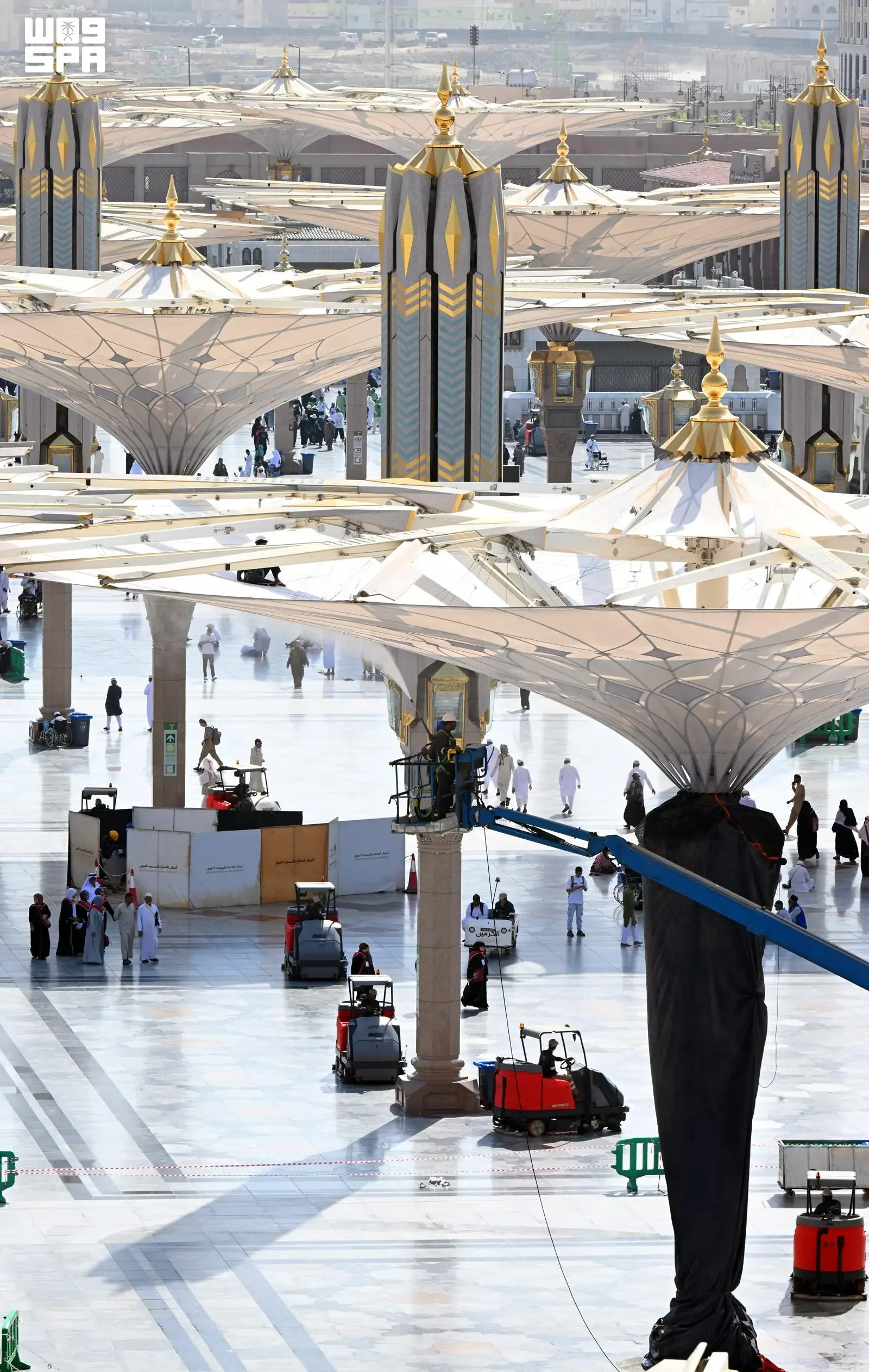 صورة من الألبوم