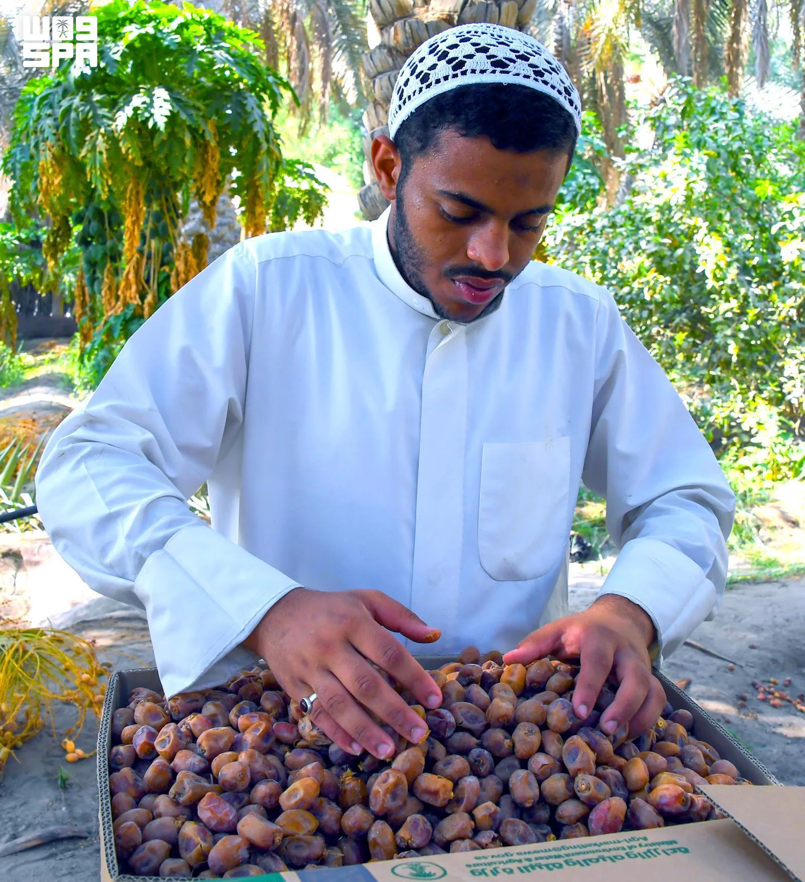 صورة من الألبوم