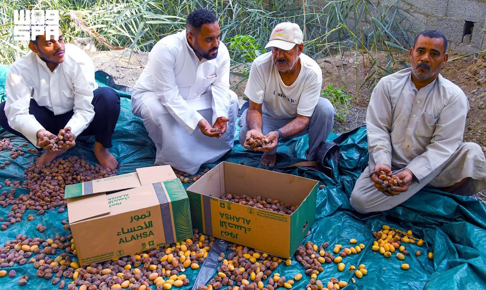 صورة من الألبوم