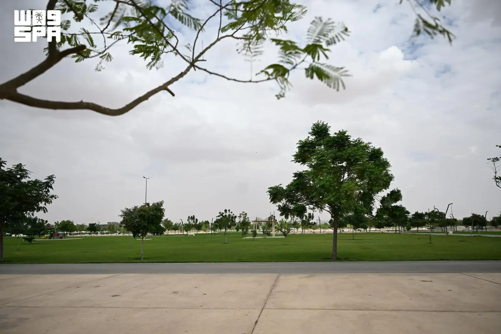 صورة من الألبوم