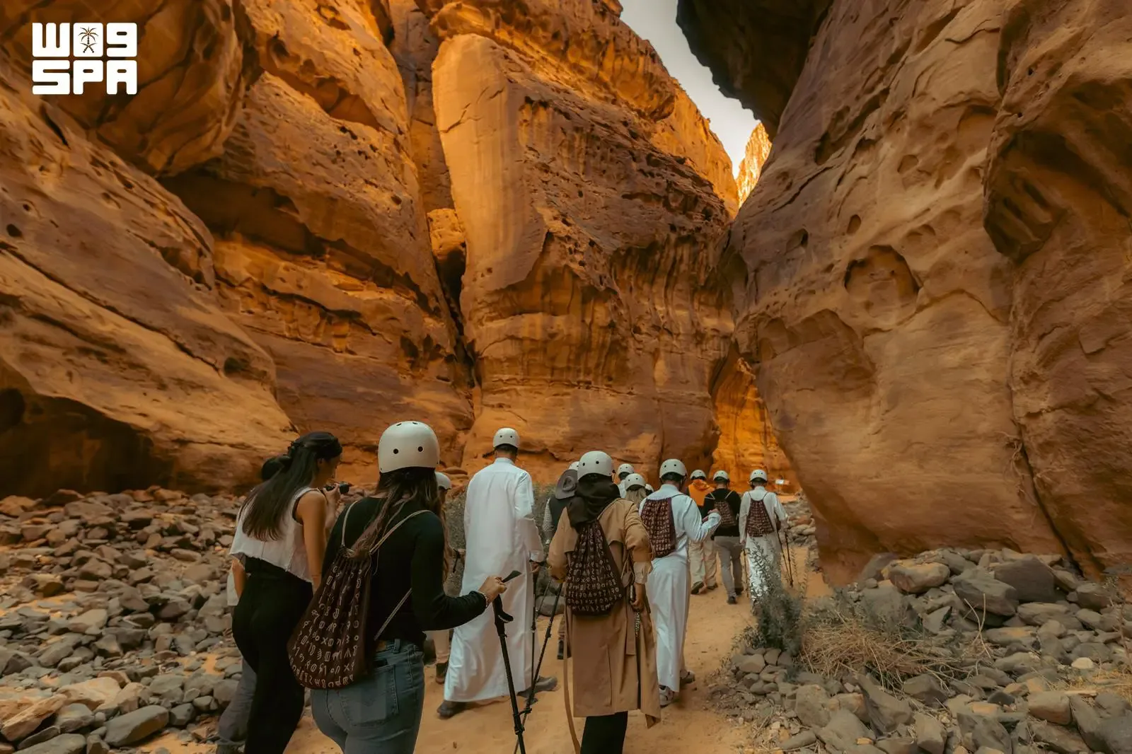 صورة من الألبوم