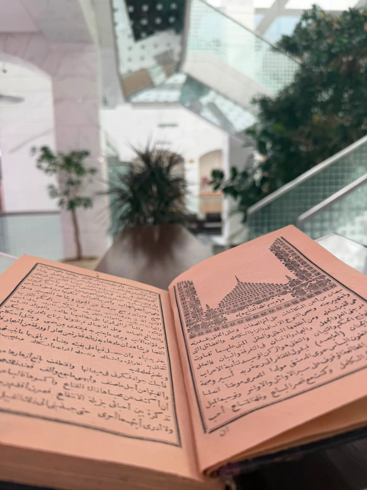 صورة الخبر