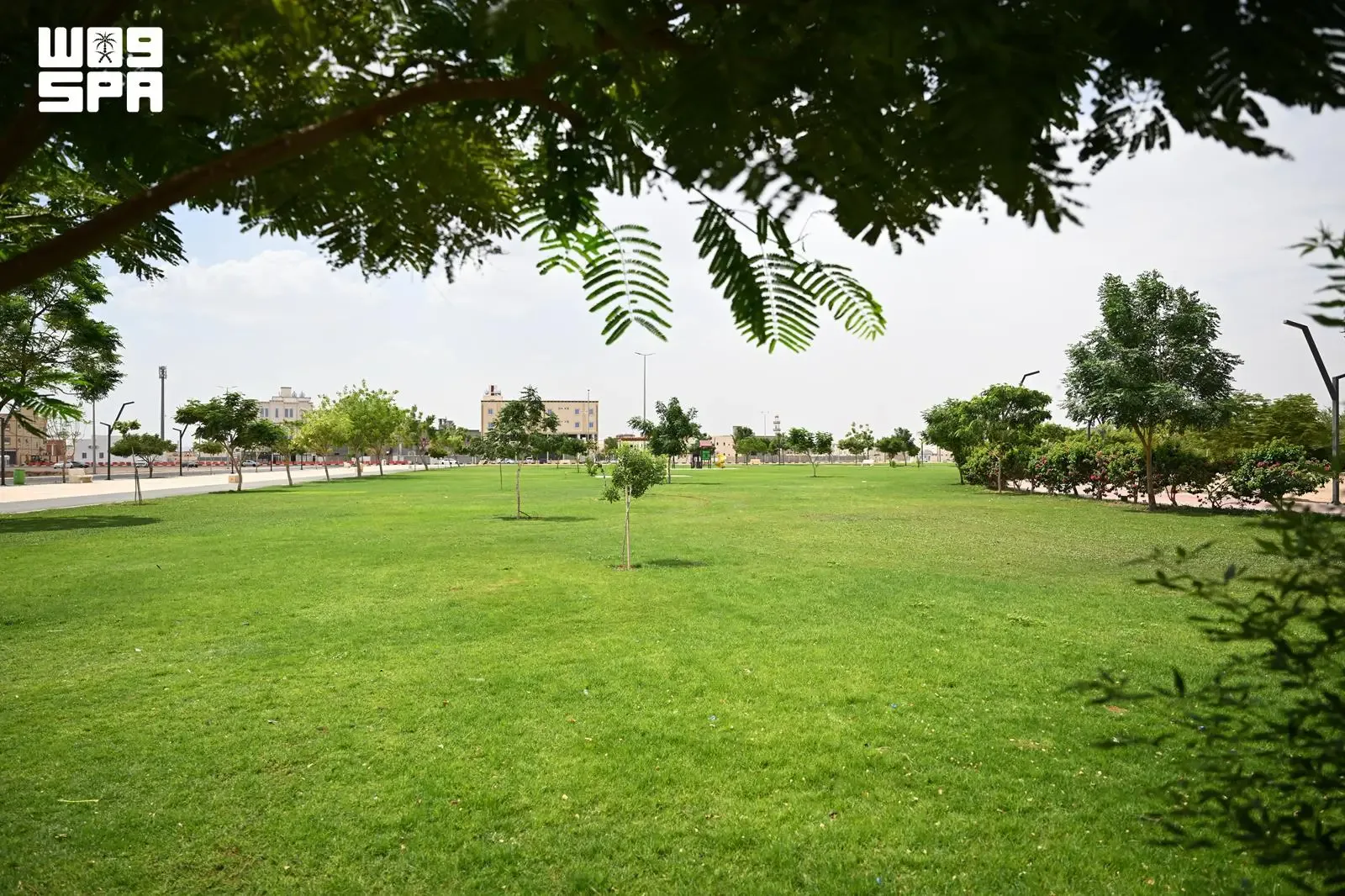 صورة من الألبوم