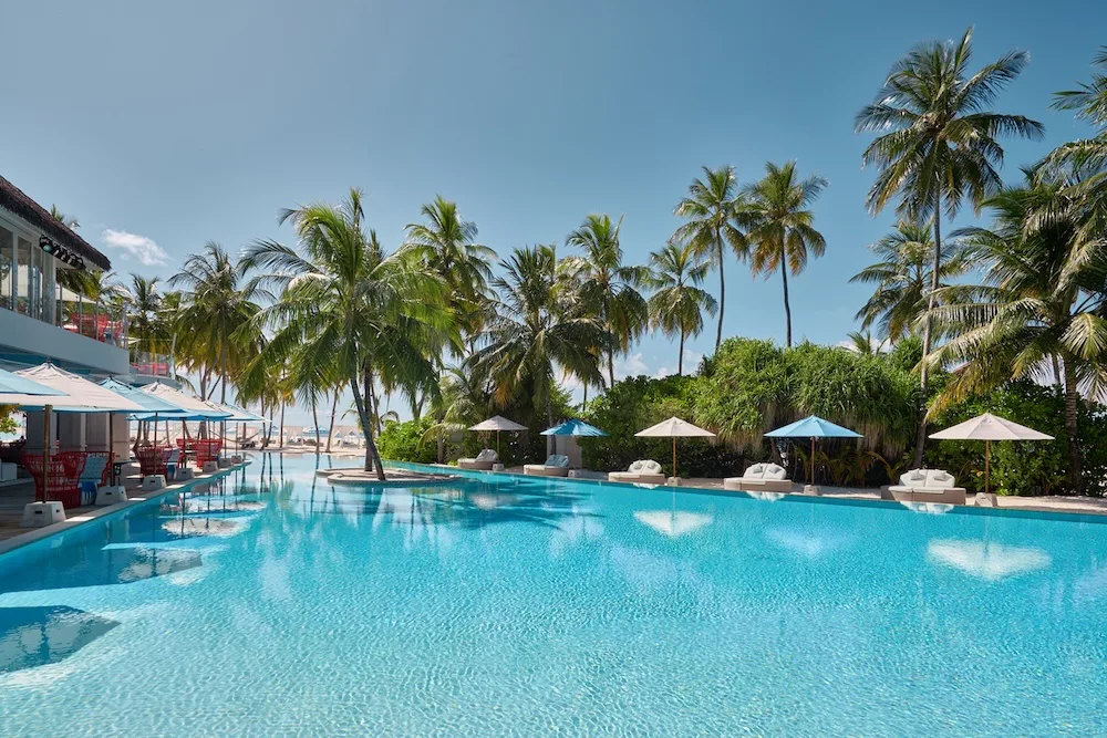 صورة من الألبوم