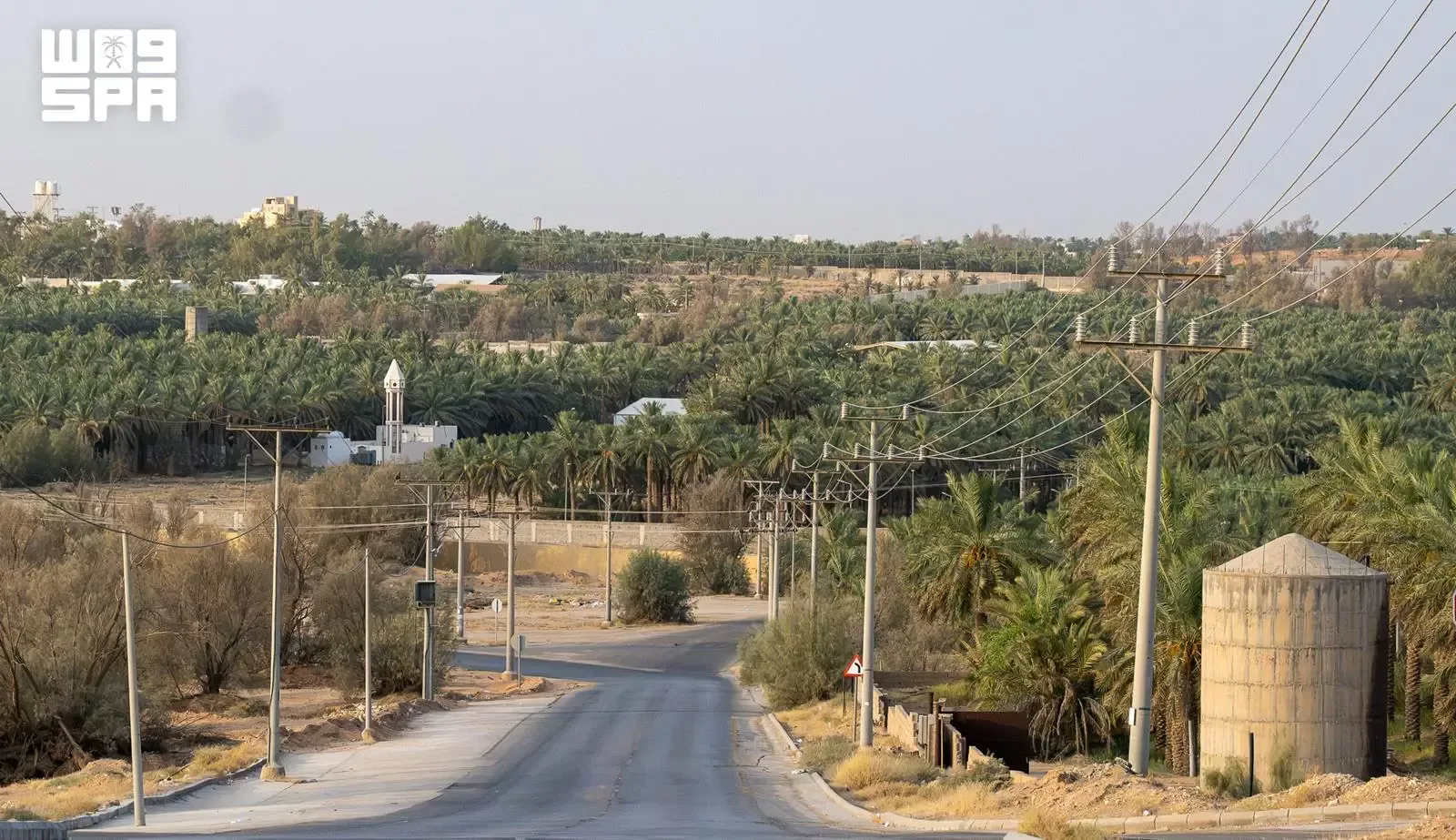 صورة من الألبوم
