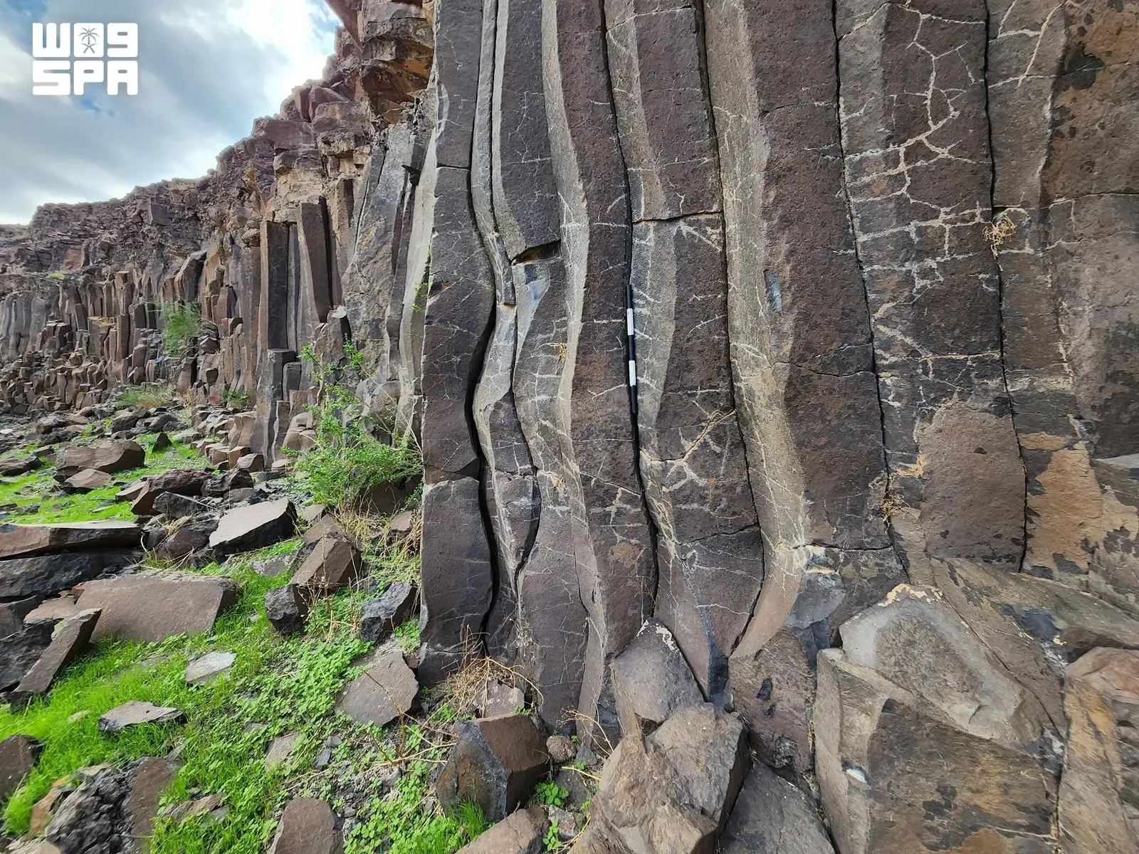 صورة من الألبوم