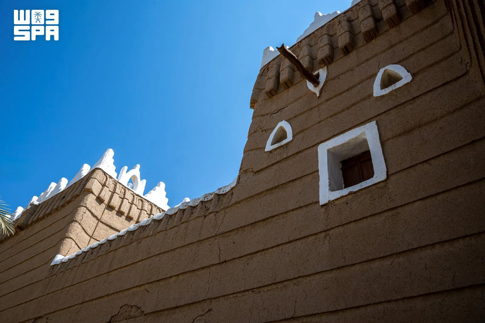 صورة من الألبوم