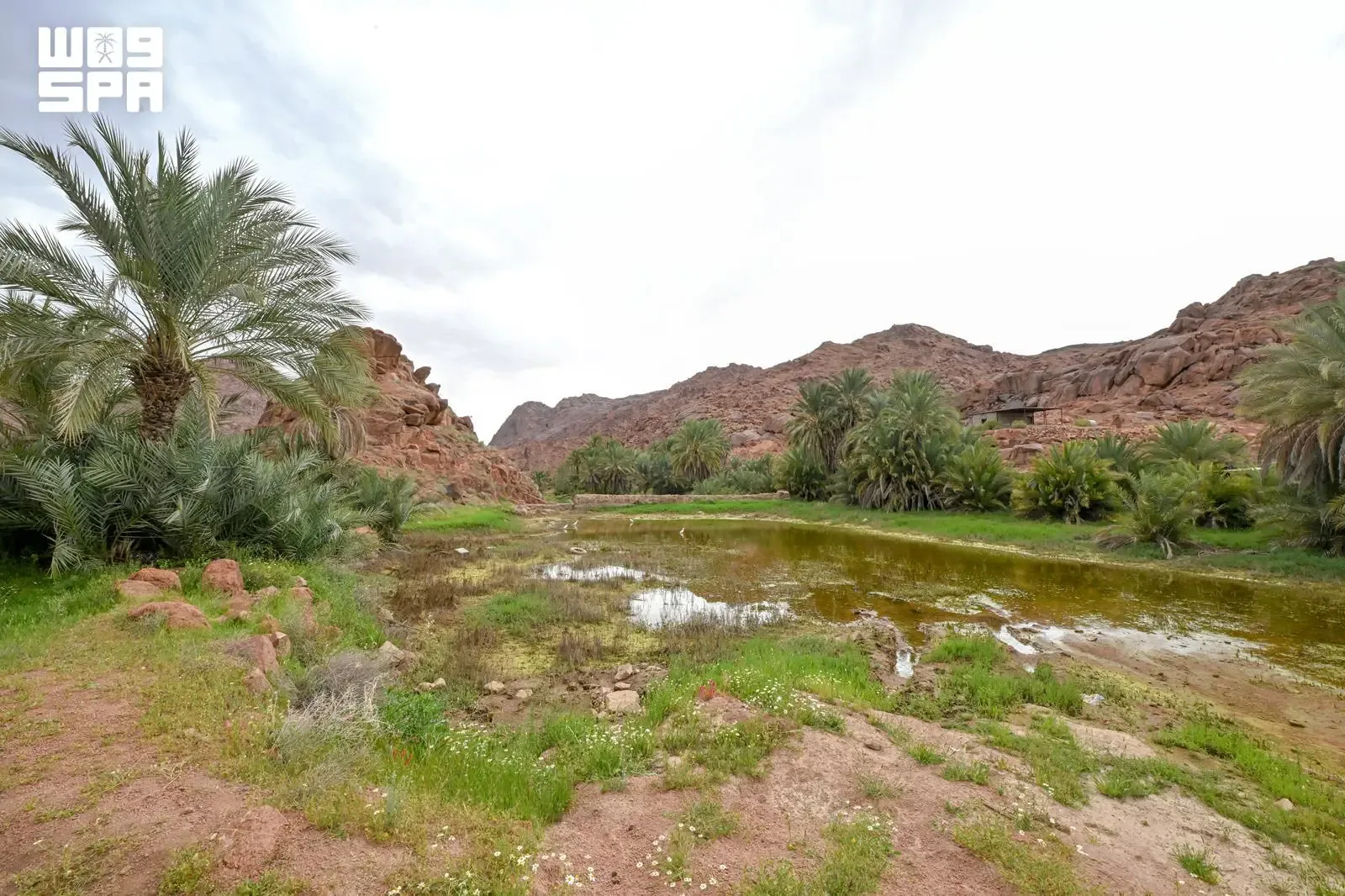 صورة من الألبوم