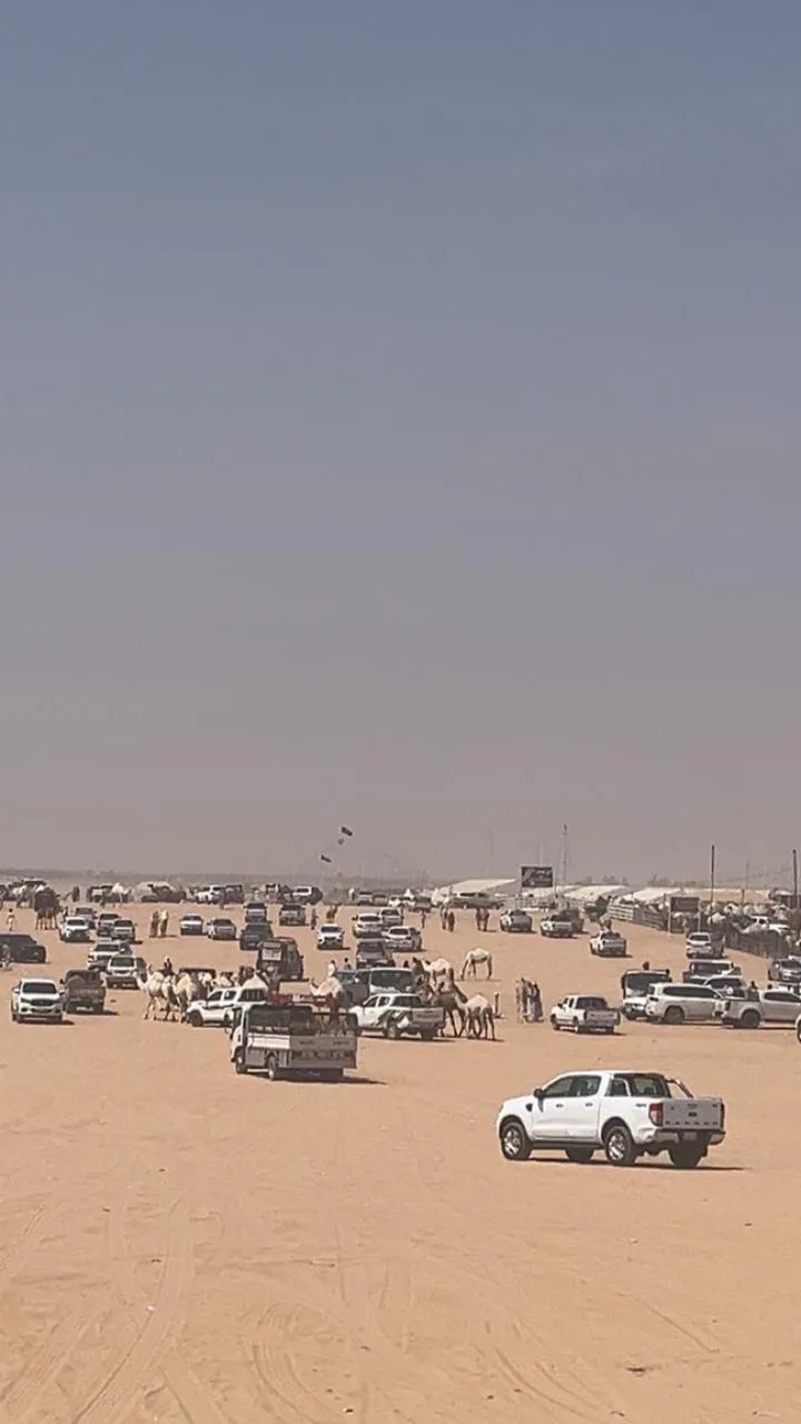 صورة