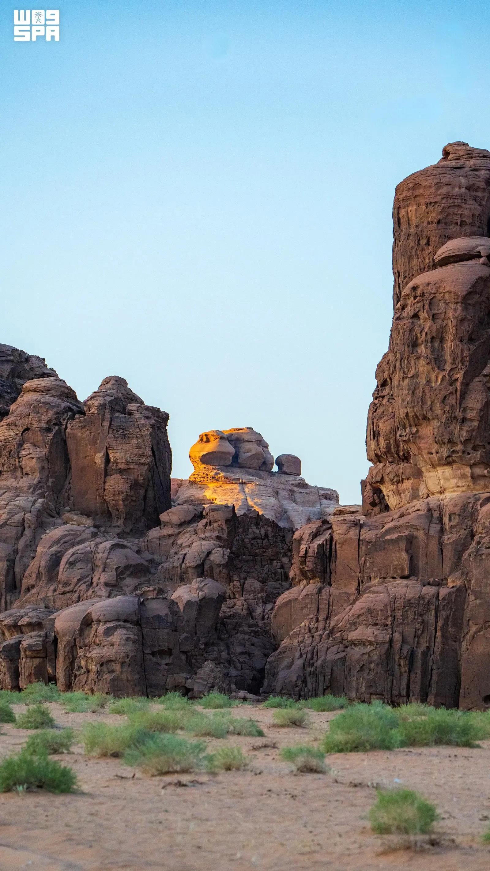 صورة من الألبوم