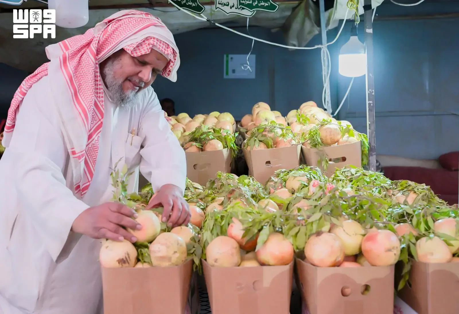 صورة من الألبوم