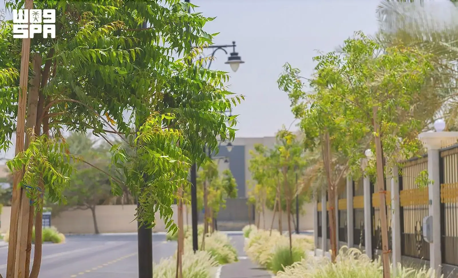 صورة من الألبوم
