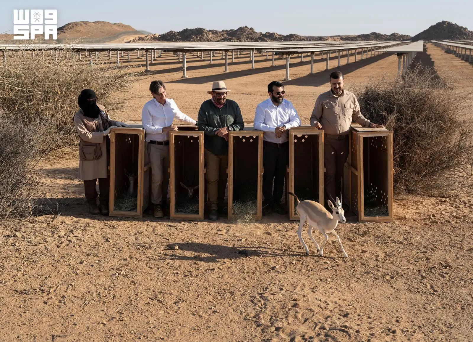 صورة من الألبوم