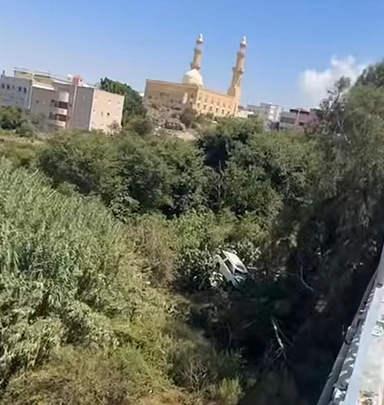 صورة الخبر