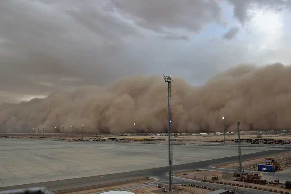 صورة الخبر