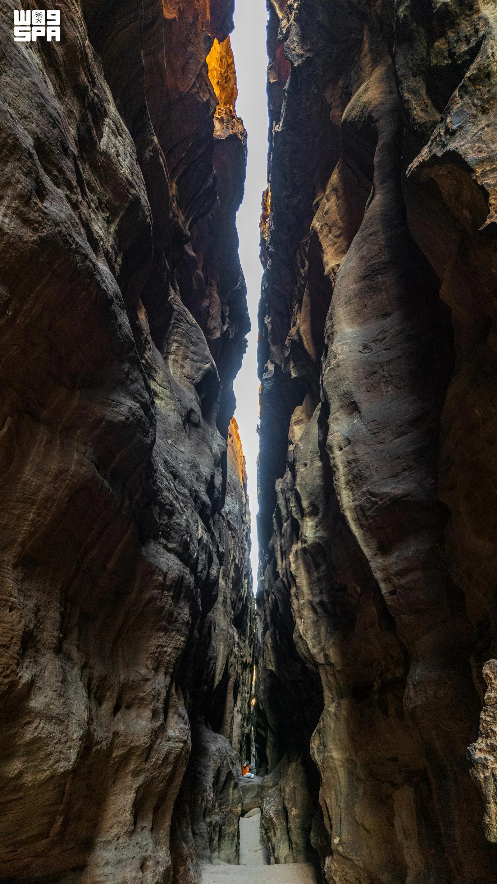 صورة من الألبوم