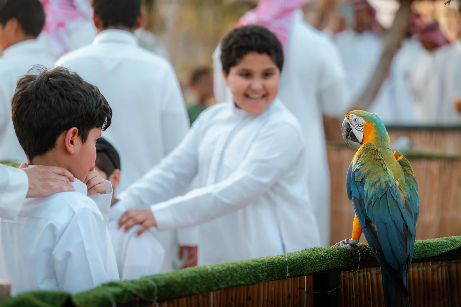 صورة