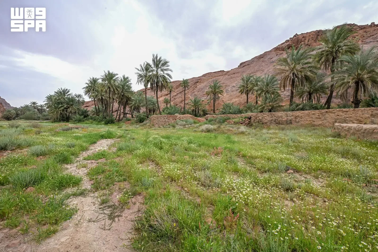 صورة من الألبوم