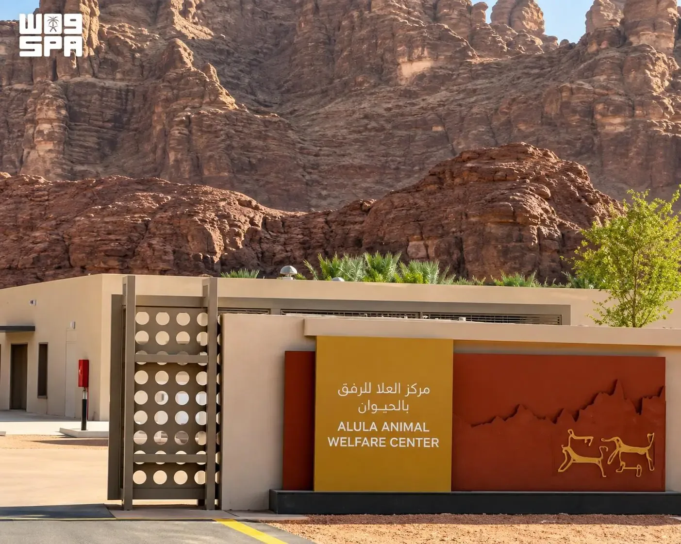 صورة من الألبوم