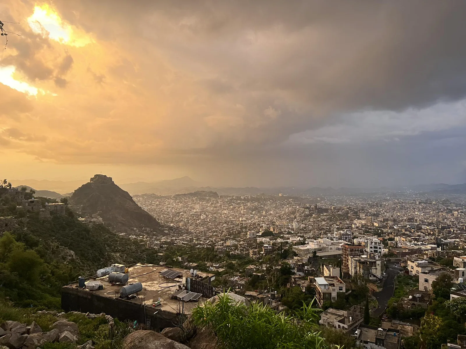 صورة الخبر