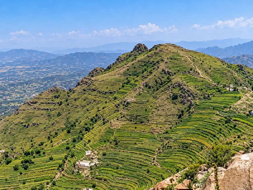 صورة الخبر